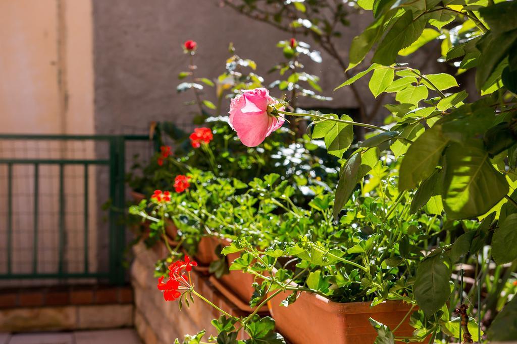 מאלי לוסיניי Apartments Leila מראה חיצוני תמונה